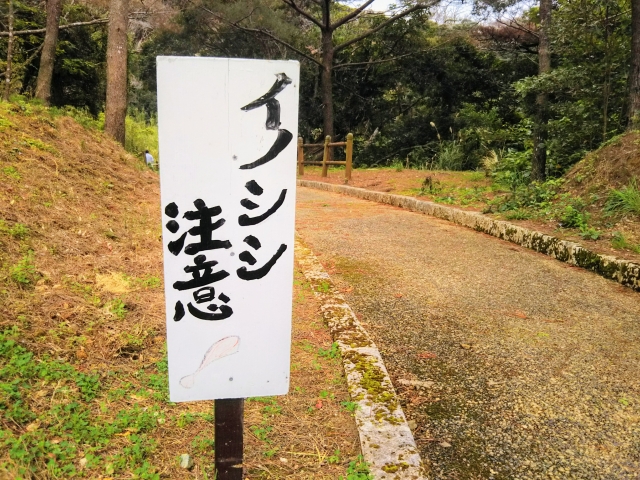 猪注意の看板