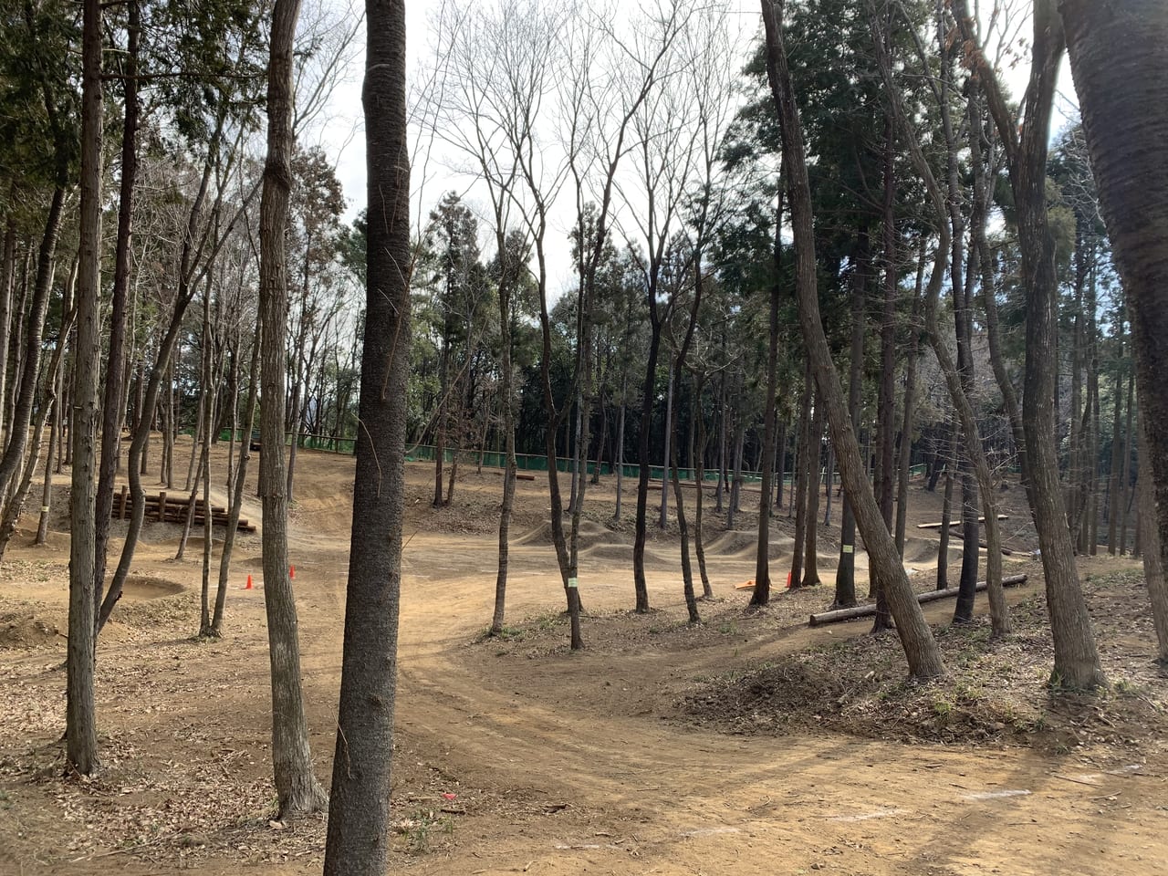 かすみがうらドッグ＆MTBパーク