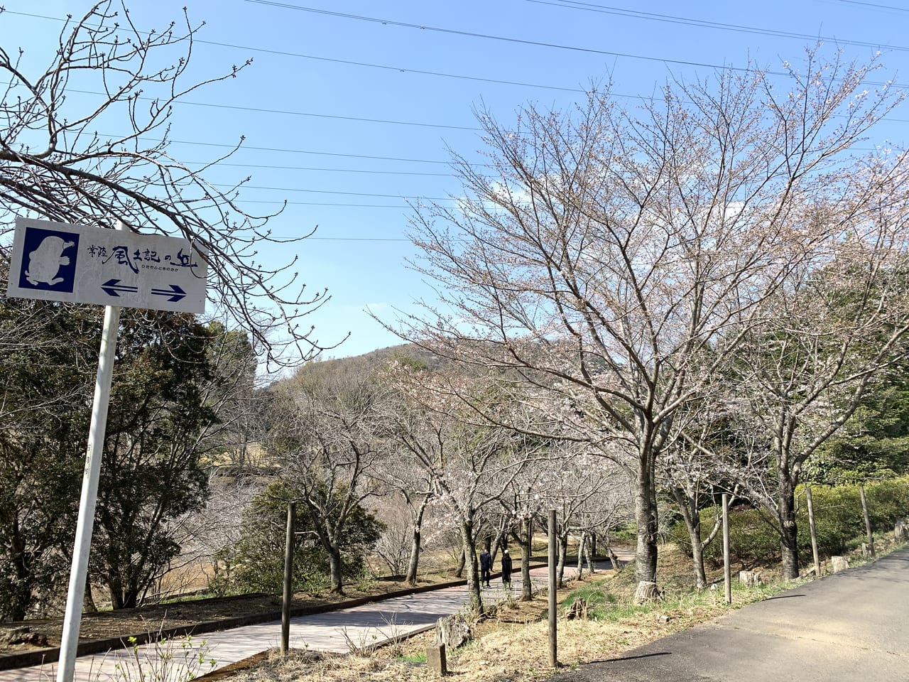 石岡市 常陸風土記の丘さくらまつりが3月25日から開催されます 号外net 土浦市 かすみがうら市 石岡市