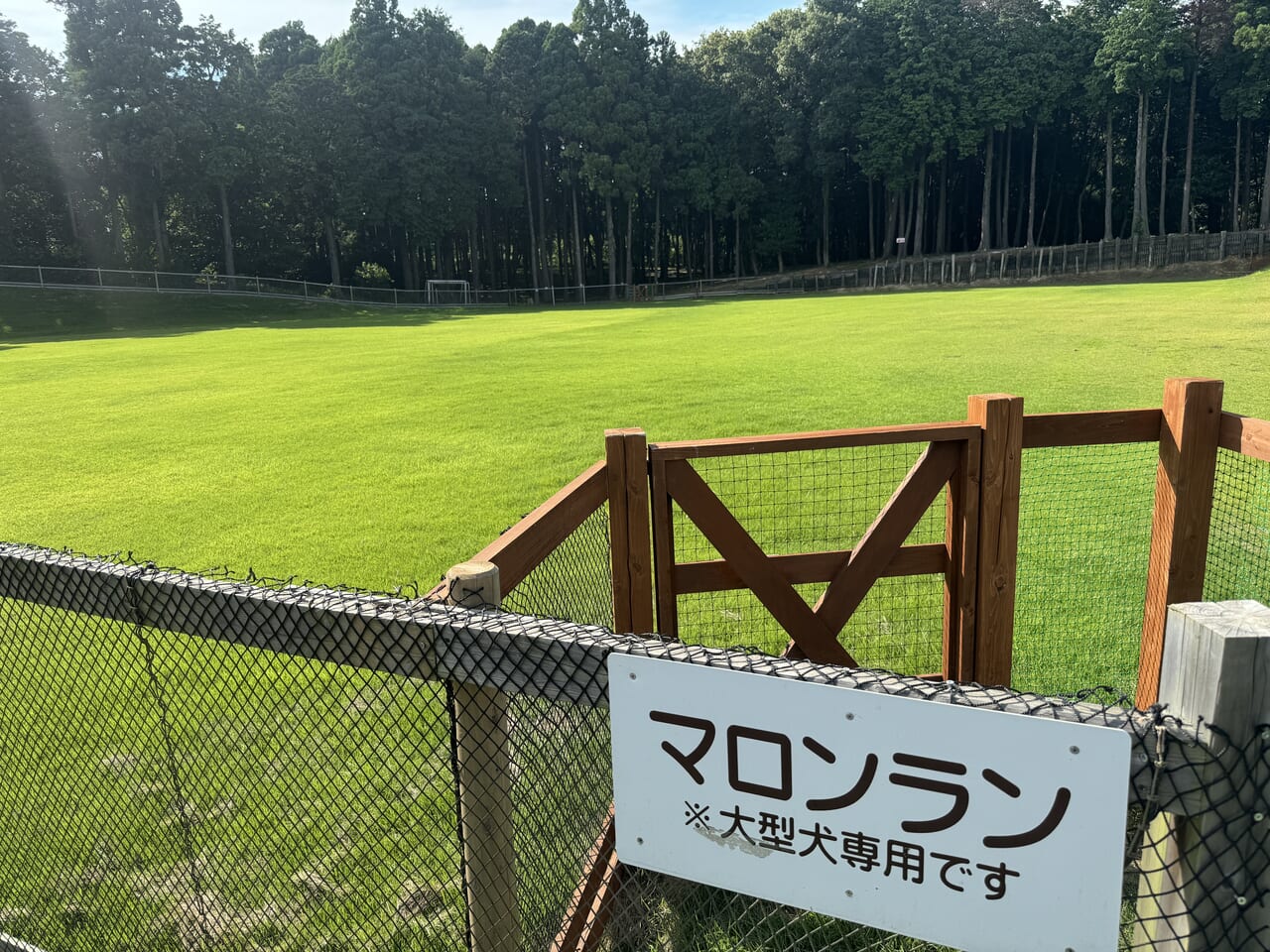 かすみがうら市にドッグランとキャンプ場