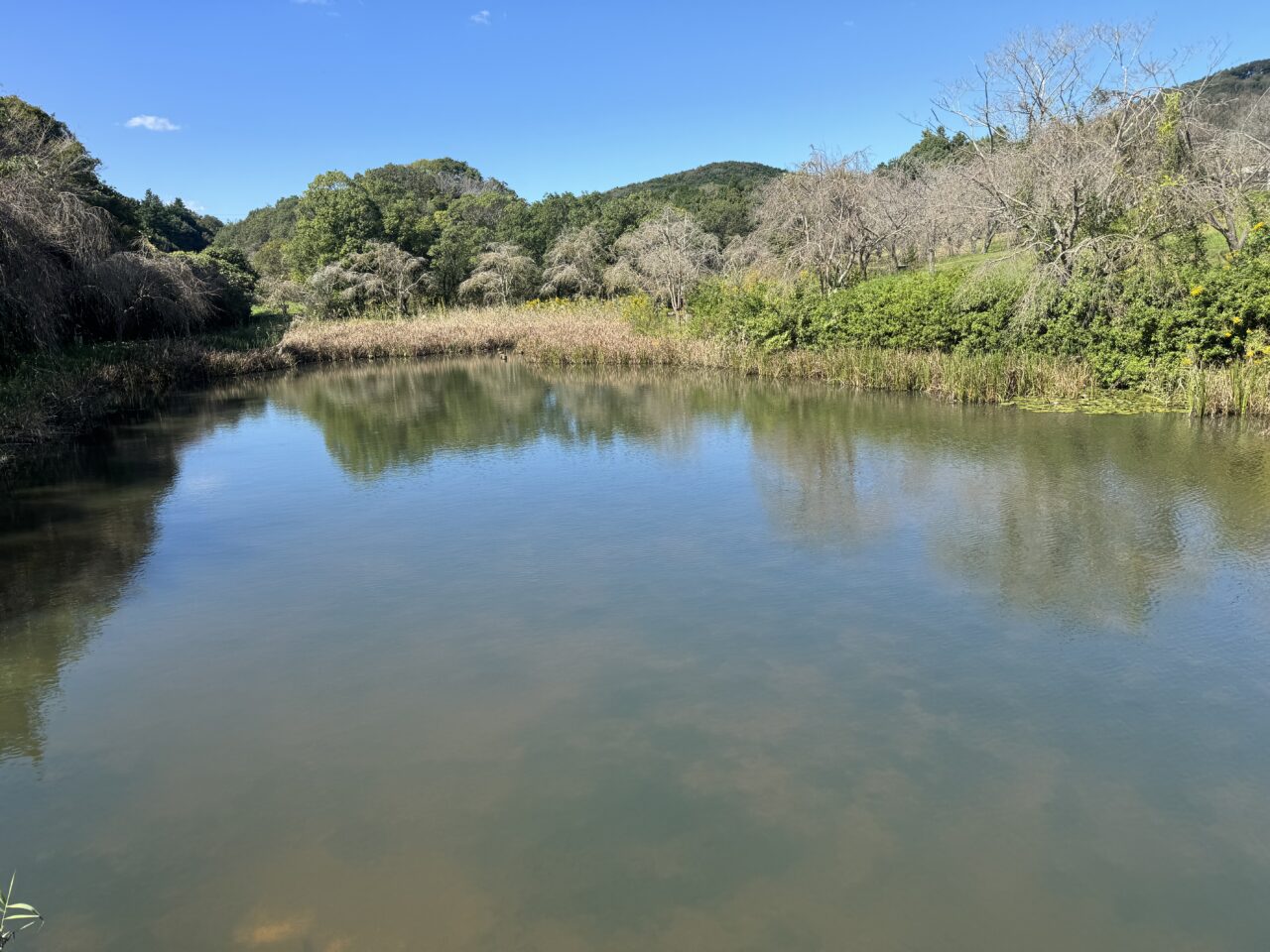 石岡市常陸風土記の丘