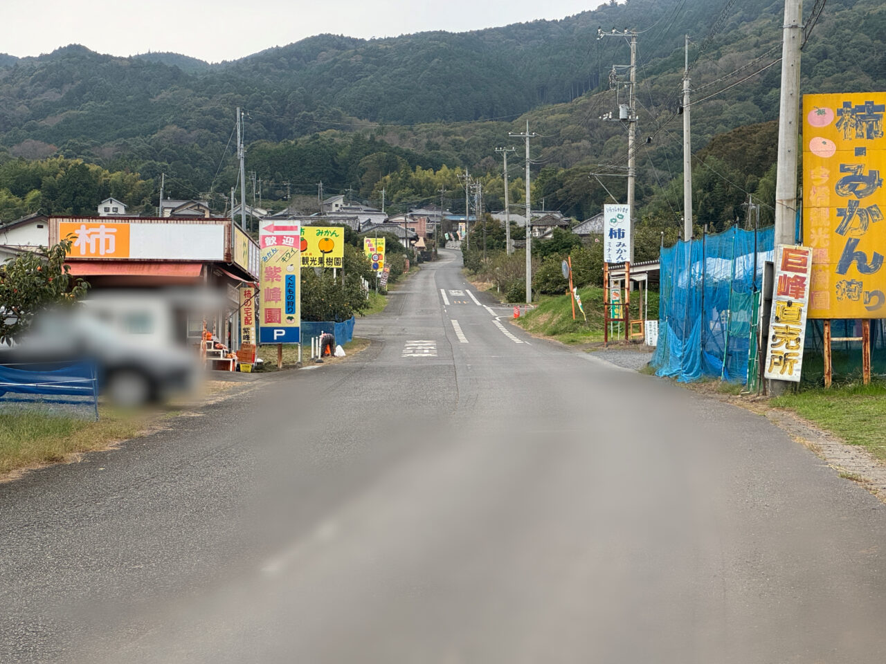 石岡市果樹特別クーポン