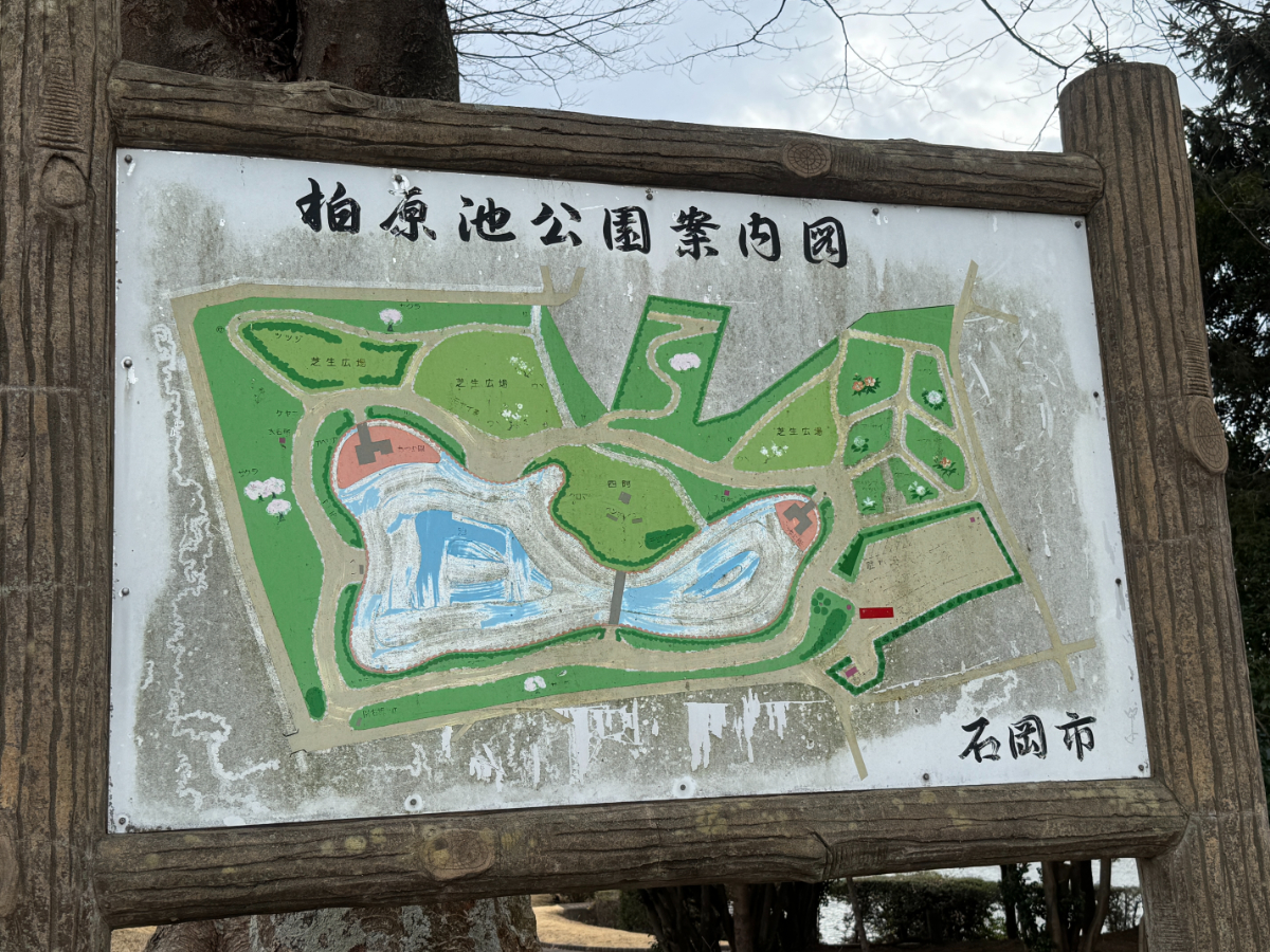 柏原池公園