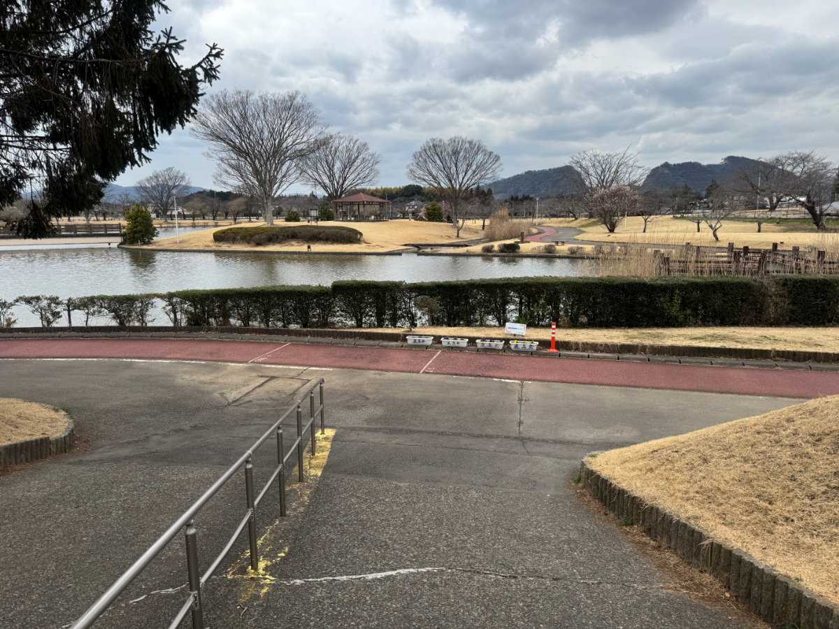 柏原池公園