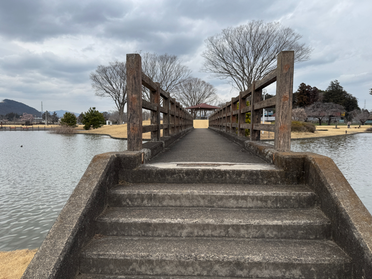 柏原池公園