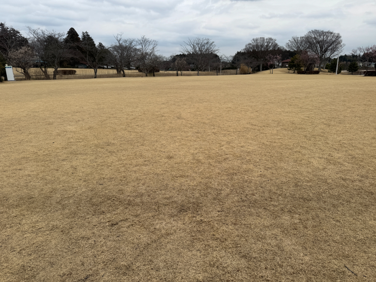 柏原池公園