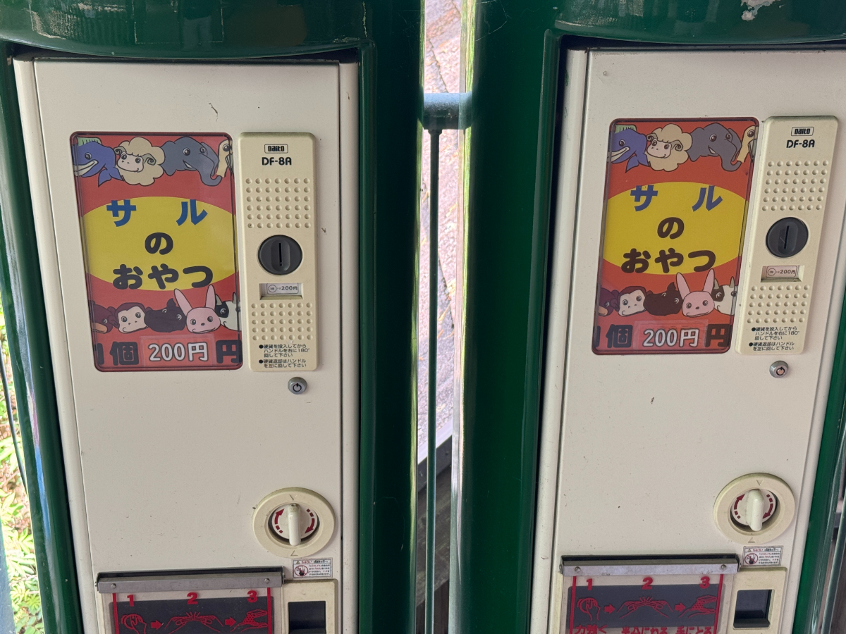 東筑波ユートピア