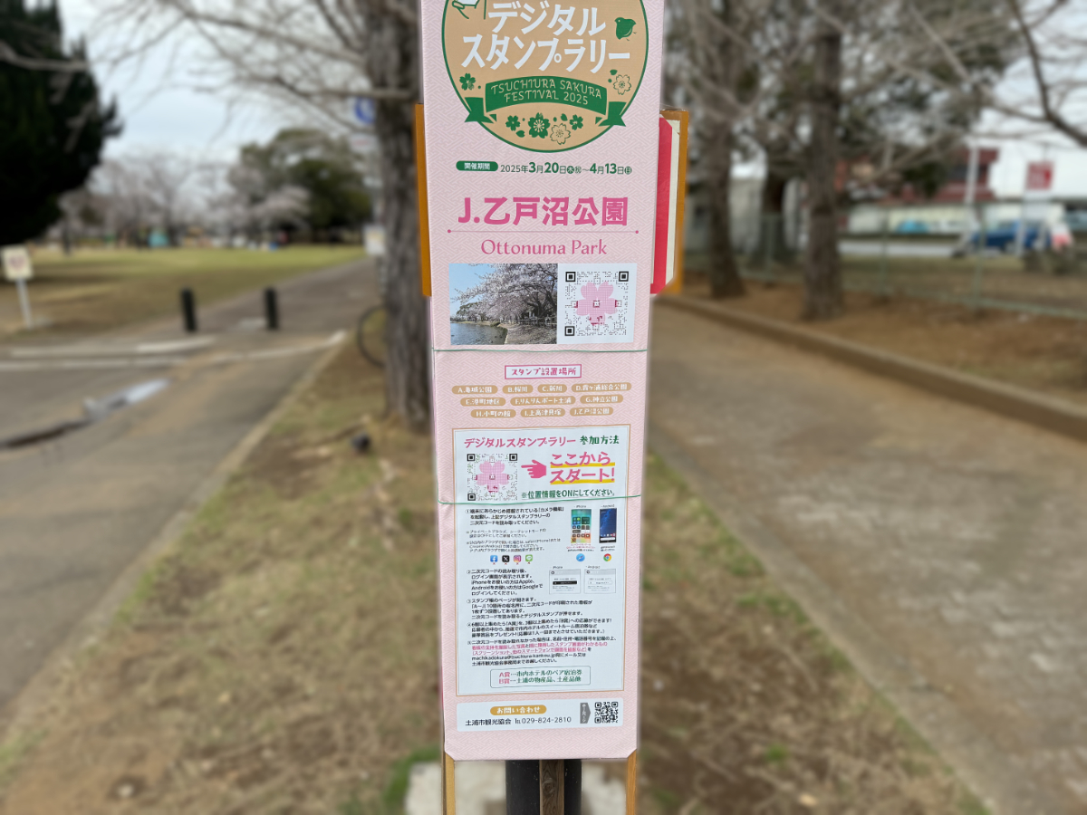 荒川沖ＤＯ！！桜フェスティバル（乙戸沼公園）