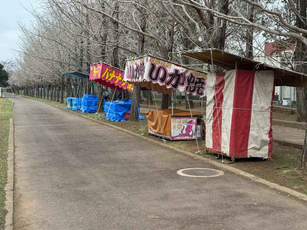 荒川沖ＤＯ！！桜フェスティバル（乙戸沼公園）