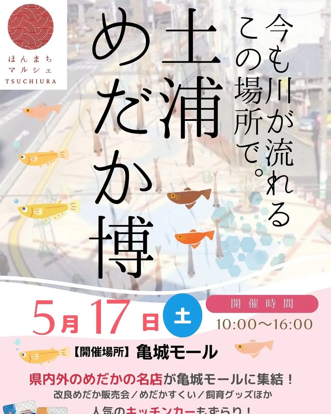 土浦めだか博
