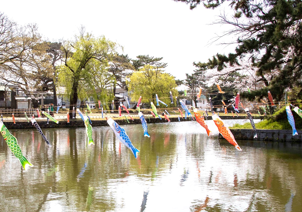 土浦の鯉のぼり（亀城公園）