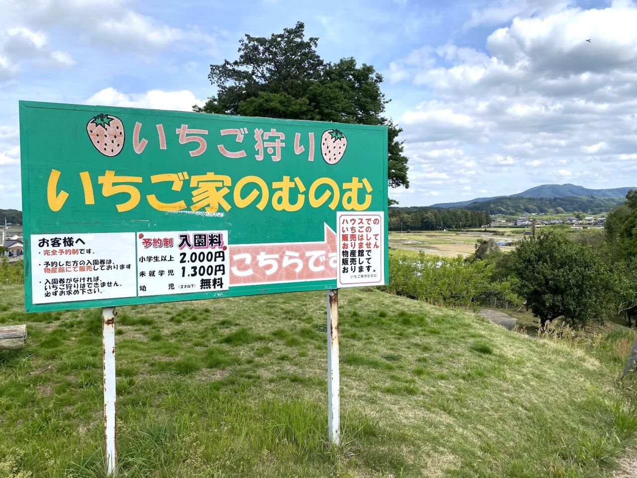 「いちご家のむのむ」の看板