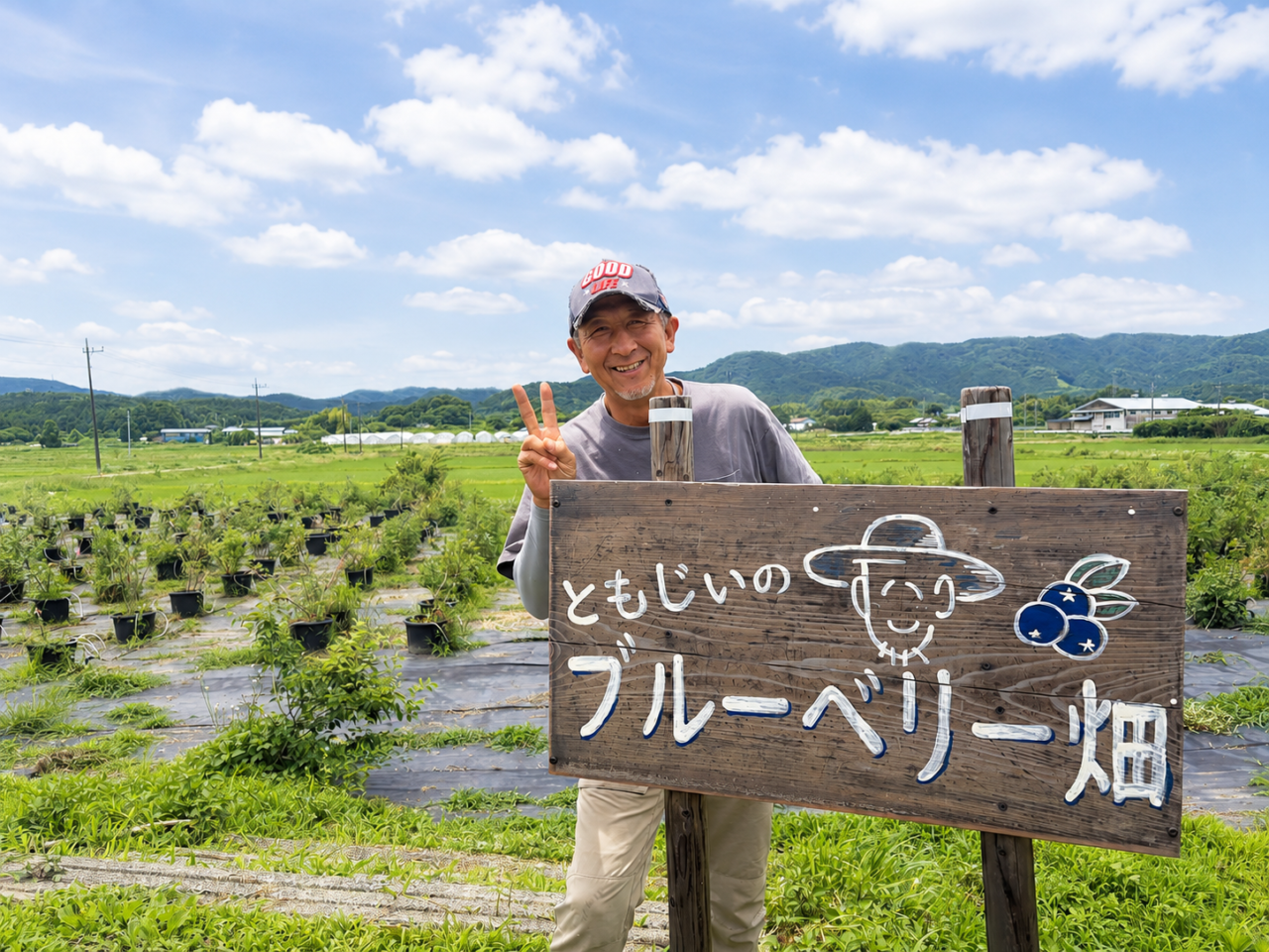 岡野ファームのブルーベリー畑
