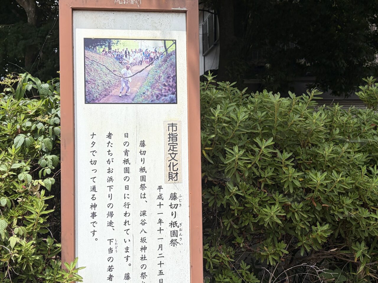 藤切り祇園祭の案内標