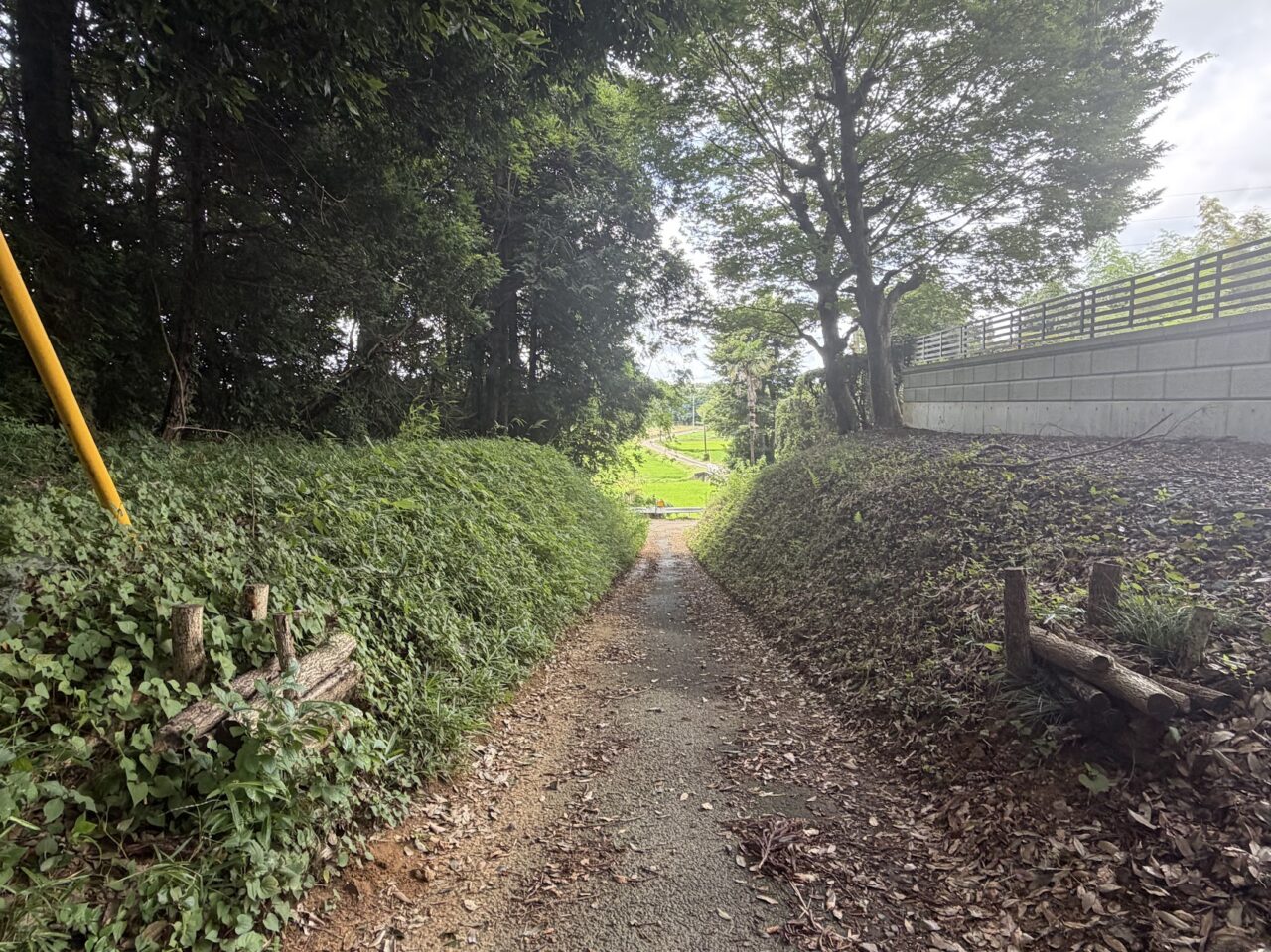 藤切り坂