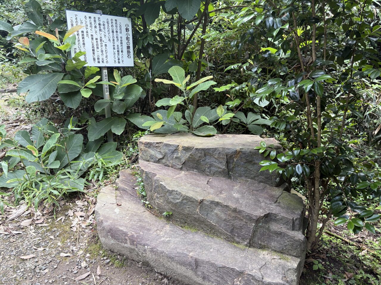 朝日峠の腰掛石
