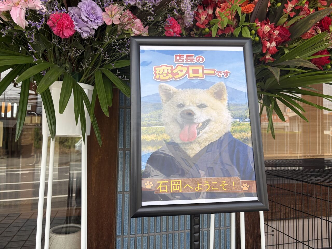 とんかつたやま石岡店の看板犬