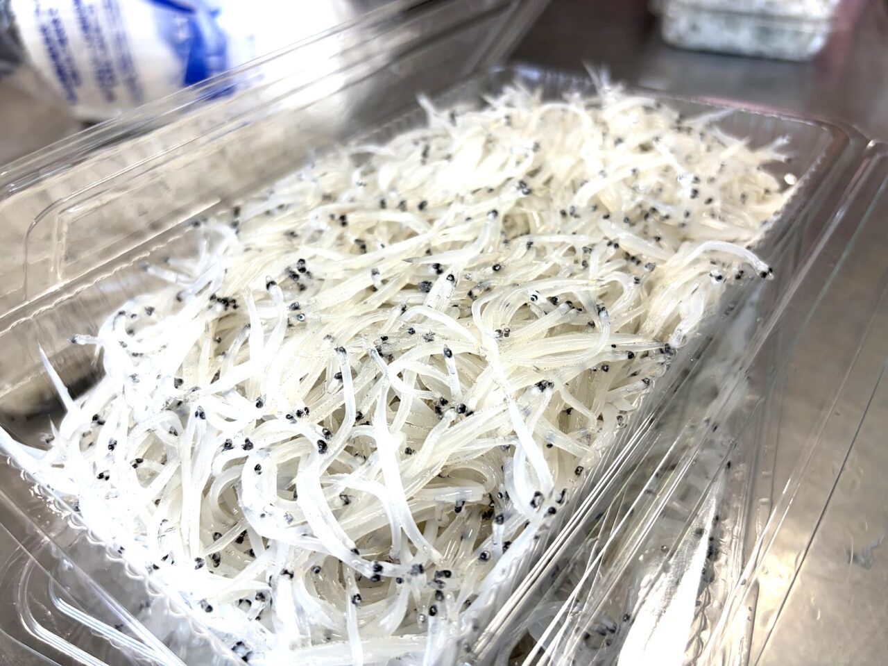 常磐商店の生白魚