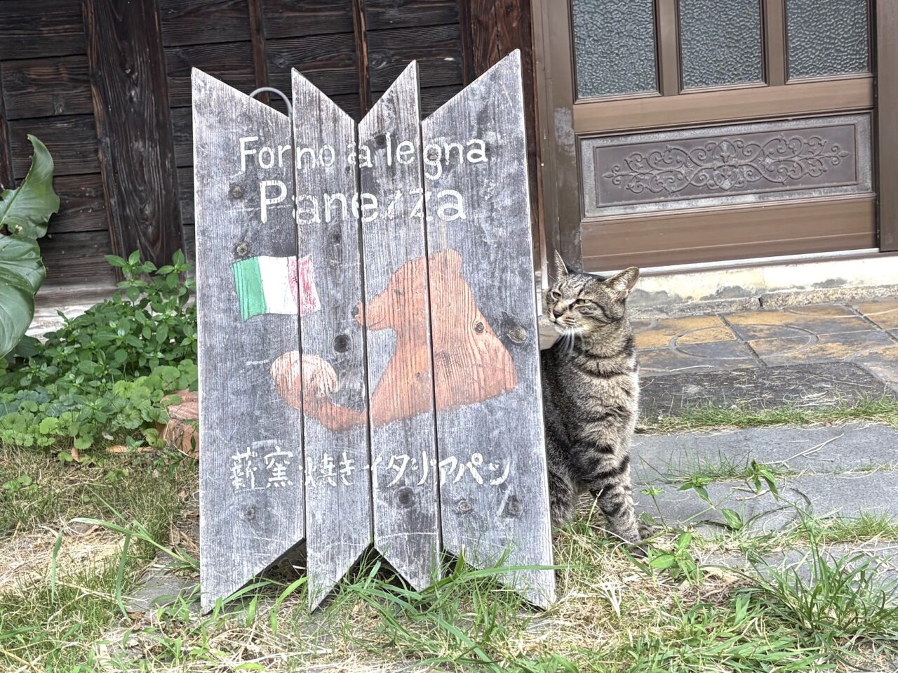 イタリア茶屋パネッツァの店猫