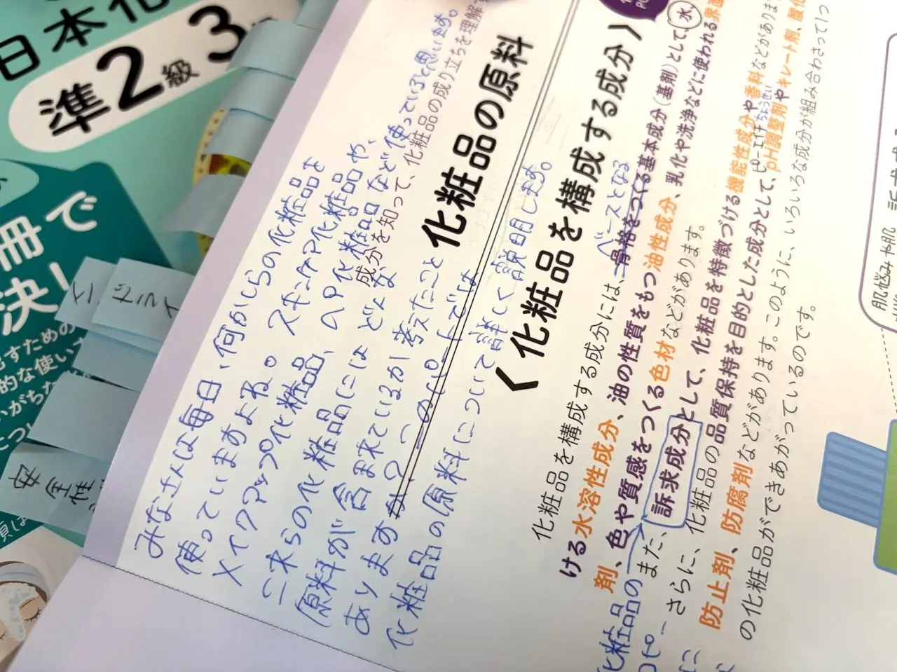 梅原穂乃香さんの教科書