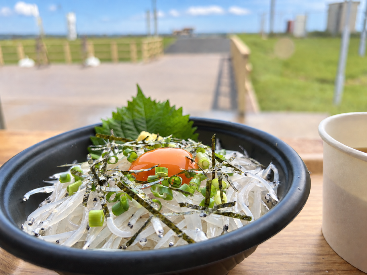 生シラウオ丼