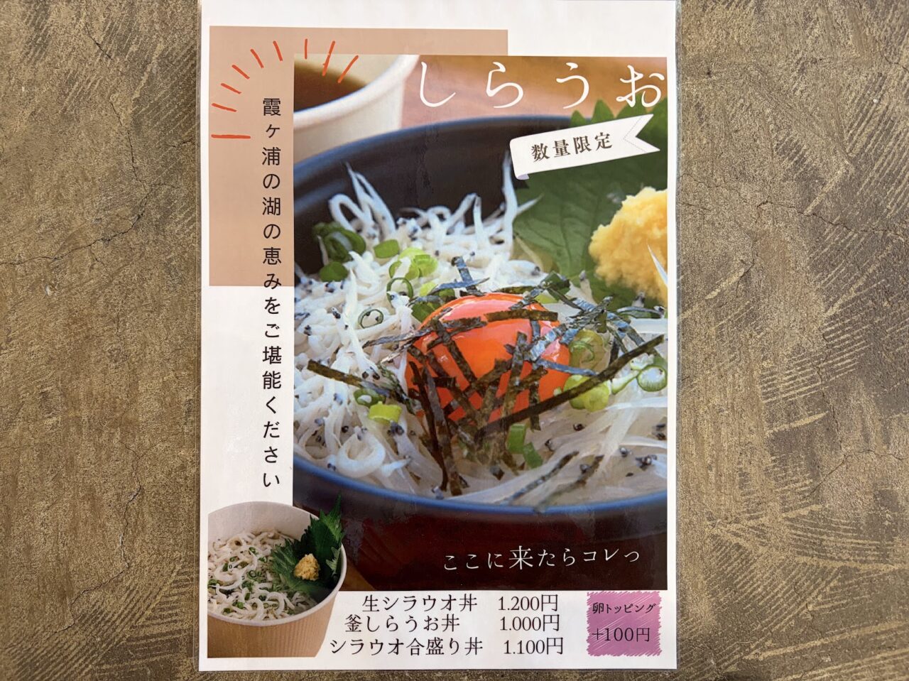 シラウオ丼のメニュー表