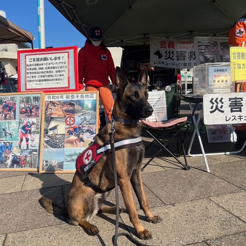 土浦わんわんフェス2026