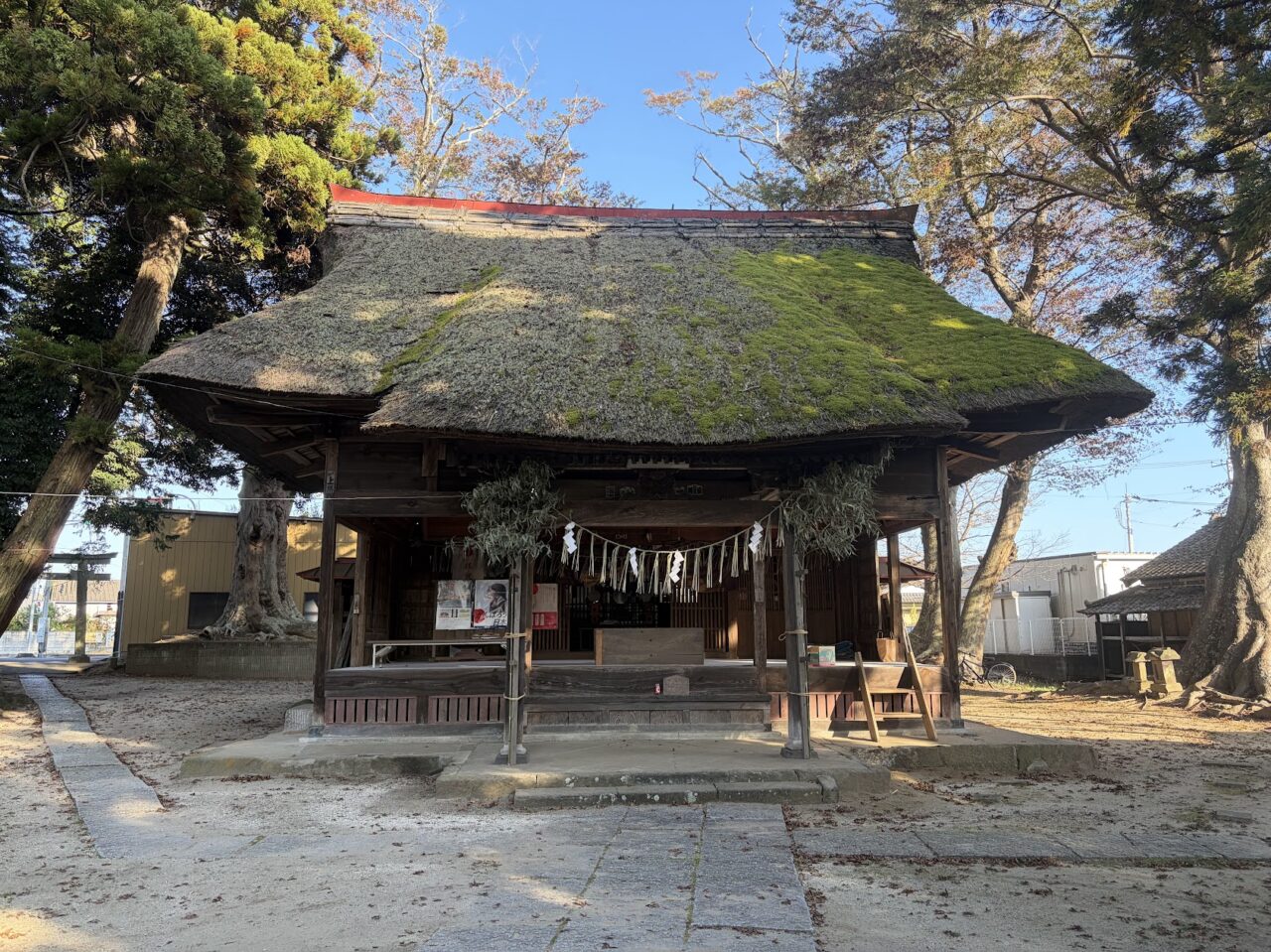 高浜神社の本殿